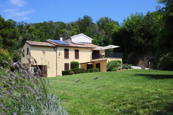gazon voor de appartementen gazon voor de appartementen - casesanbartolo