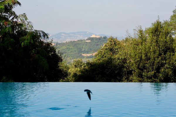 infinity pool- uitzicht gradara infinity pool- uitzicht op het kasteel van gradara - casesanbartolo